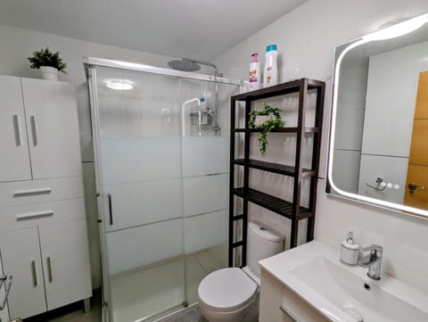 Downstairs bathroom with walk-in glass shower, vanity and illuminated mirror