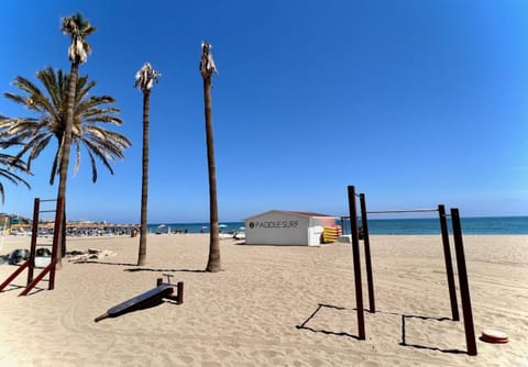 Palm trees and fitness bars on the beach